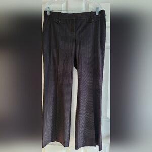 Express Design Studio Editor Pants